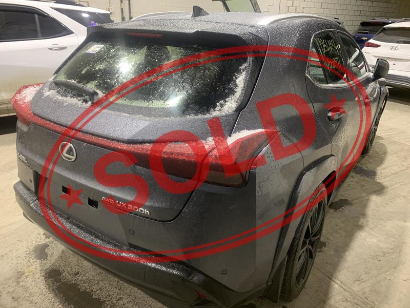 2025 lexus ux 300h 31